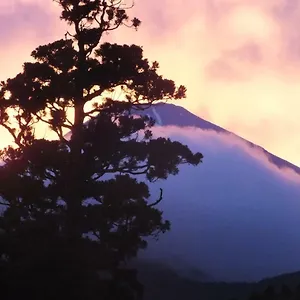 Ryokan (tradycyjny japoński pensjonat lub zajazd) Hananoyado Fukuya, Hakone